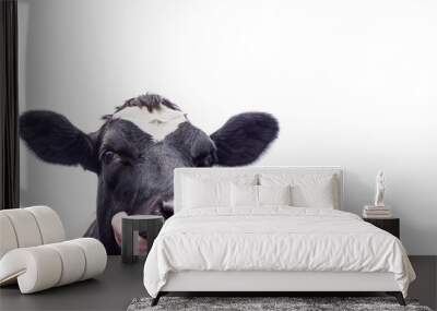 Black and white cow isolated on a white background Wall mural