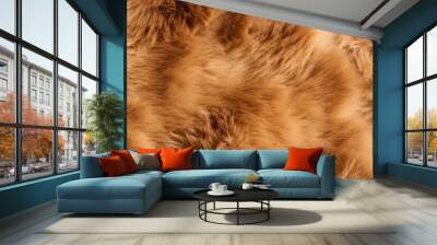 Bear skin close-up texture flat lay background Wall mural