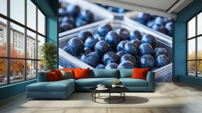 Close-up of fresh organic ripe blueberries in plastic containers or packaging, sorted and arranged in rows in market healthy food vegetarian diet vegan nourishment, vitamin-rich berries, sweet fruit,  Wall mural