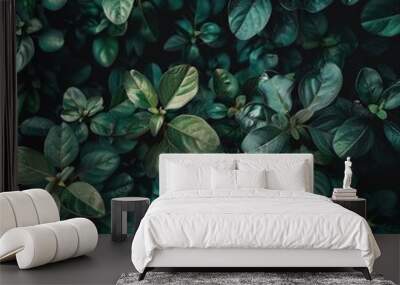 Closeup of fresh green leaves natural beauty background texture Wall mural