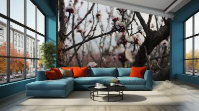 flor Wall mural