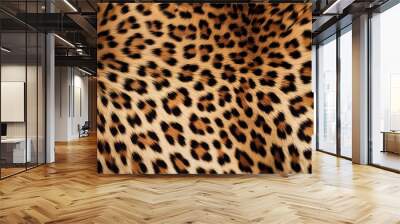 Leopard jaguar skin close-up texture flat lay background Wall mural