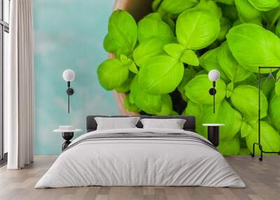 Basil plant, top view Wall mural