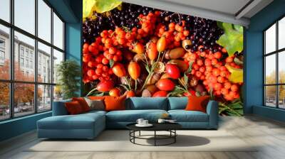 hagebutten,beeren und eicheln Wall mural