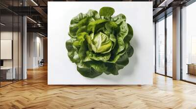 A pristine white background showcases a visually appealing and artistically arranged salad Wall mural