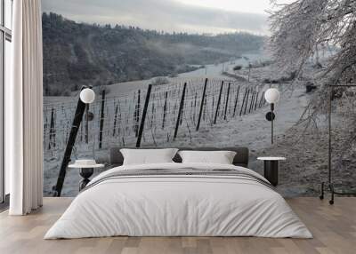 italian hill and vineyard frozen Wall mural