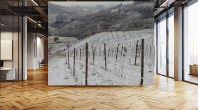 italian hill and vineyard frozen Wall mural