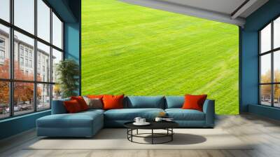 Aerial view of green grass field.
 Wall mural