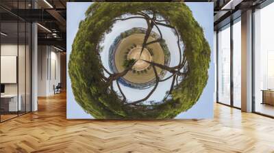 Aerial view of three very tall trees, with the tiny planet effect. The sky is between the leaves. Ideal to represent a small natural planet. Wall mural