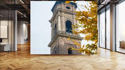 Belltower of Turin Cathedral, Italy Wall mural