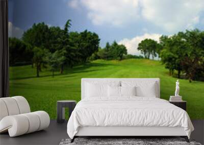 golf course Wall mural