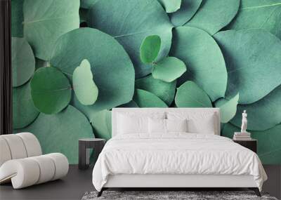 Fresh eucalyptus leaves. Flat lay, top view. Nature green Eucalyptus leaves  background Wall mural