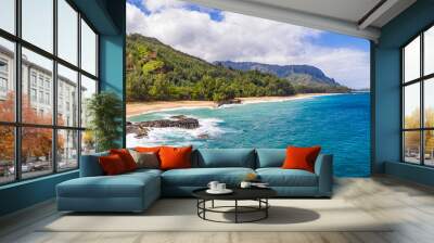 Aerial panoramic image off the coast over Lumaha'i beach on Hawaiian island of Kauai with Na Pali mountains behind Wall mural