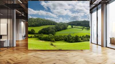 Panorama of welsh countryside Wall mural