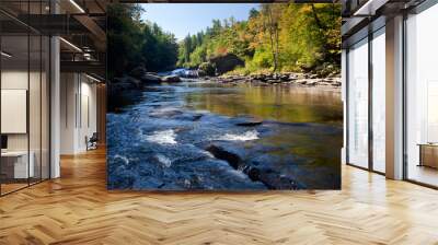 Swallow Falls Maryland Wall mural