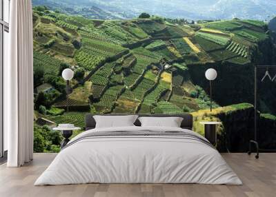 Terraced Fields Wall mural