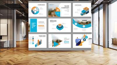 Brochure layout design template set Wall mural