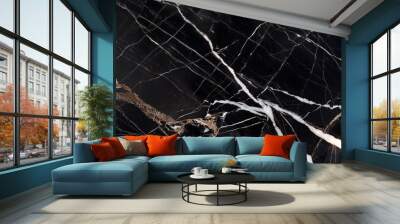 dark color marble texture black stone marble background Wall mural