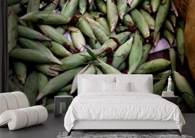 Fresh ears of ripe corn on the cob after harvest, sweet raw corn covered by green husks. Harvesting agricultural crops for sale at the market. Wall mural