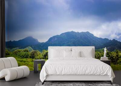 Rarotonga beautiful green tropical mountains, rainforests, scenery, landscapes, Cook islands, Pacific islands Wall mural