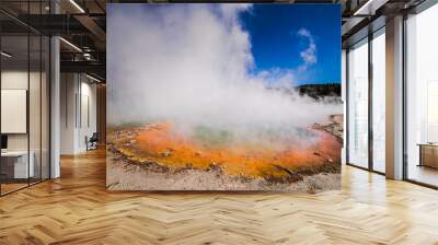 Rotorua Wai-o-Tapu Champaign pool weird and unique landscape, geothermal activity, volcanic landforms, hot pools and lakes North Island New Zealand Wall mural