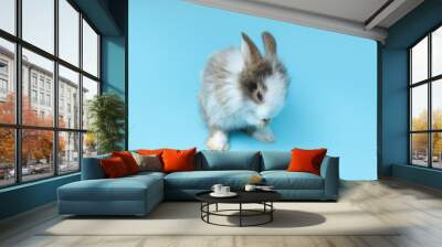 Two adorable fluffy rabbit standing on hind legs on blue background, portrait of cute bunny pet animal Wall mural