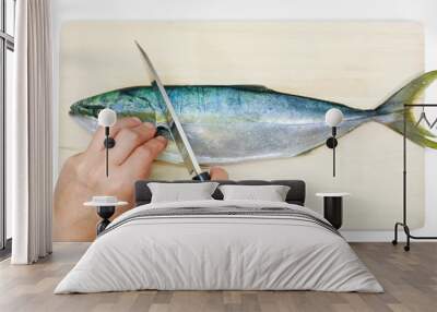 Preparing a Japanese yellowtail in the Japanese style Wall mural