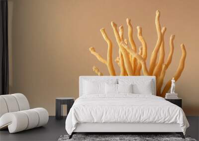 Fresh cordyceps militaris mushroom on beige background with copy space, Chong cao, China herbal medical dietary supplements, natural healthy superfood Wall mural