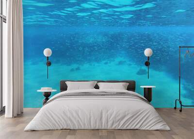 swimming in blue water Wall mural