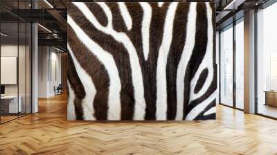 zebras skin Wall mural