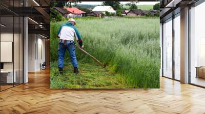 A farmer mows grass with a hand scythe, foraging in the countryside. A mature farmer mows young green rye for cattle feed. Wall mural