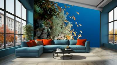 ocean and fish Wall mural