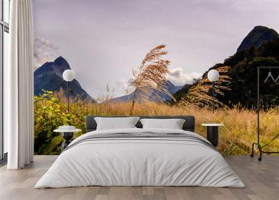 Two single high blades of grass in front of impressive mountain scenery Wall mural