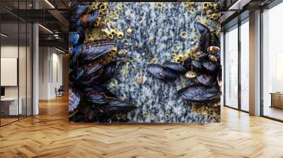 seafood mussels on the beach rock sea nature fresh marine Wall mural