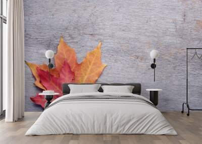 two colored Maple leaves on rustic wooden background with copy space Wall mural