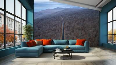 A long road cutting through the winter forest of mountains in Virginia Wall mural