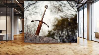 Excalibur the famous sword in the stone of king Arthur in the forest, Llangorse Lake, Brecon Beacons Wall mural