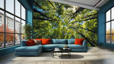 Looking up Green forest. Trees with green Leaves, blue sky and sun light. Bottom view background Wall mural