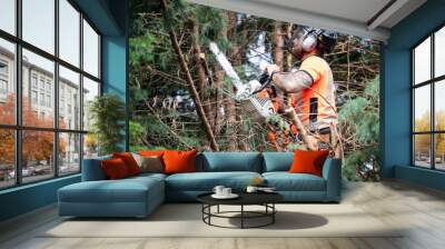 Tree surgeon hanging from ropes in the crown of a tree using a chainsaw to cut branches down. The adult male is wearing full safety equipment. Wall mural