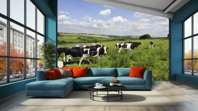 Dairy Cow Wall mural