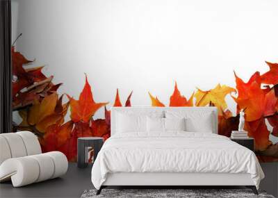 autumn burst 2 Wall mural