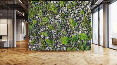 Seamless gravel and moss road texture background. Wall mural