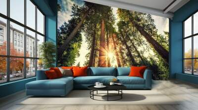 Sunrise on the Sequoias, Mariposa Grove, Yosemite National Park, California  Wall mural