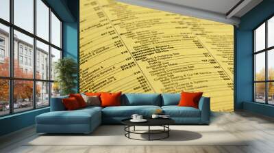 yellow pages Wall mural