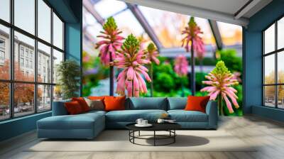 Veltheimia Bracteata Forest Lily Plant Wall mural