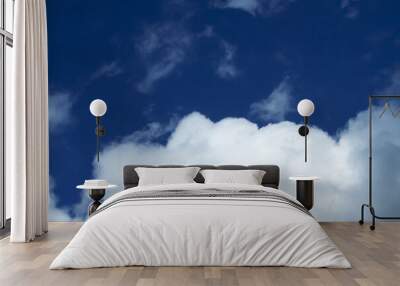 White Clouds and Blue Sky Abstract Shapes Wall mural