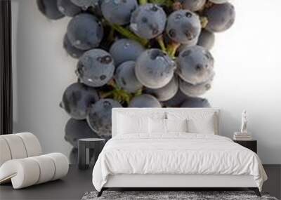 blue grape Wall mural