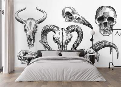  illustration  animal skull Wall mural