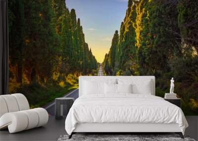 Bolgheri famous cypresses tree straight boulevard. Maremma, Tuscany, Italy Wall mural