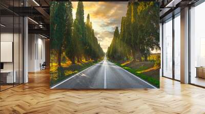 Bolgheri famous cypresses tree straight boulevard. Maremma, Tuscany, Italy Wall mural